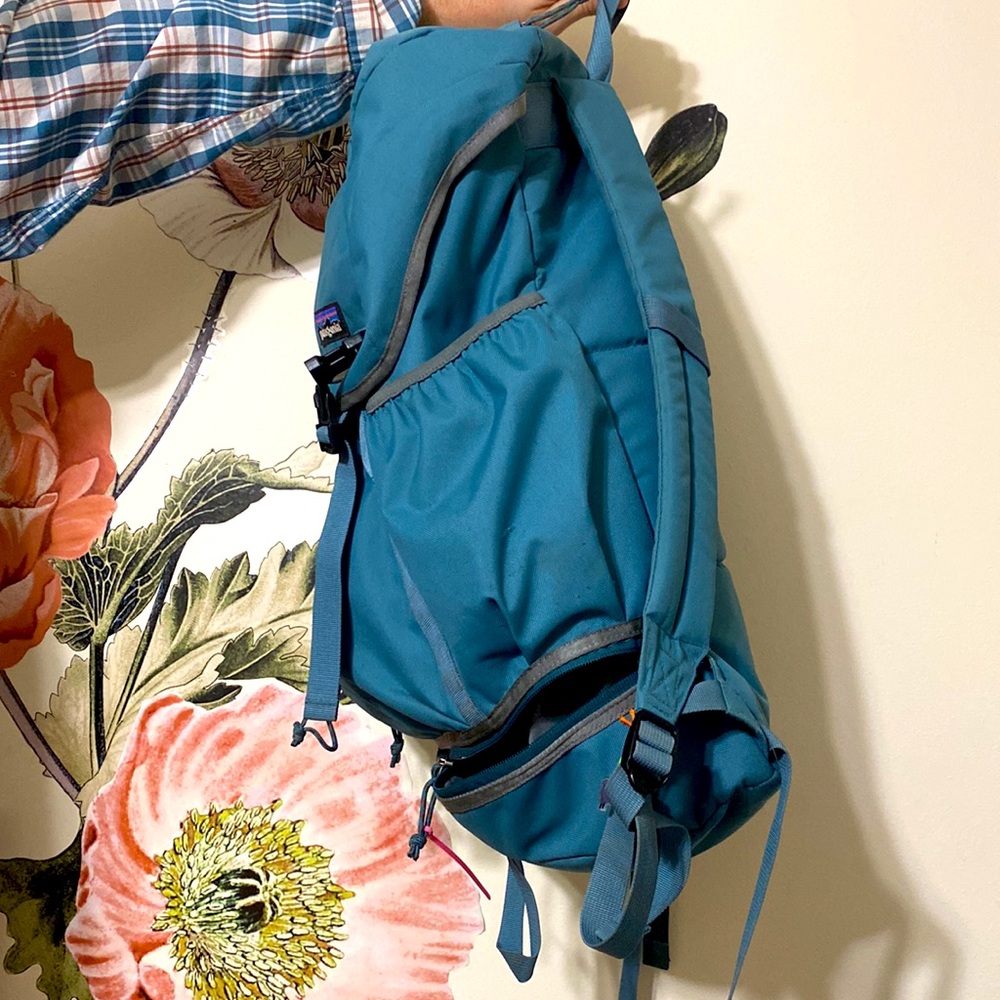 Patagonia Backpack - image 2